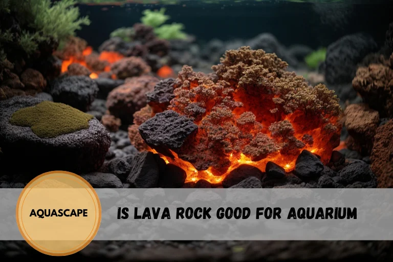 is lava rock good for aquarium