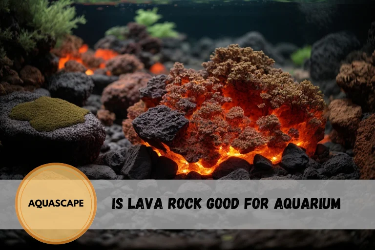 is lava rock good for aquarium
