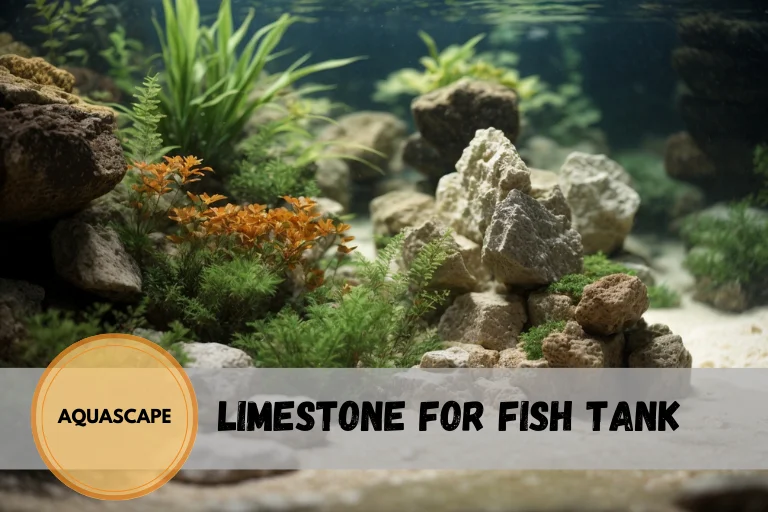 limestone for fish tank
